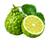 Bergamot
