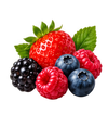 Berries