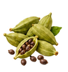Cardamom