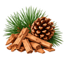 Cedar