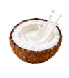 Coconut Milk
