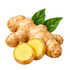 Ginger