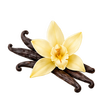 Vanilla